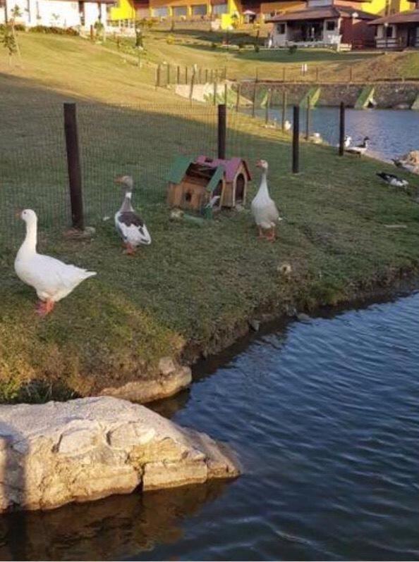 Gravata Apartamento Winterville Dış mekan fotoğraf